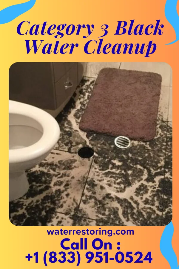 Category 3 Black Water Cleanup in Clifton Springs, NY