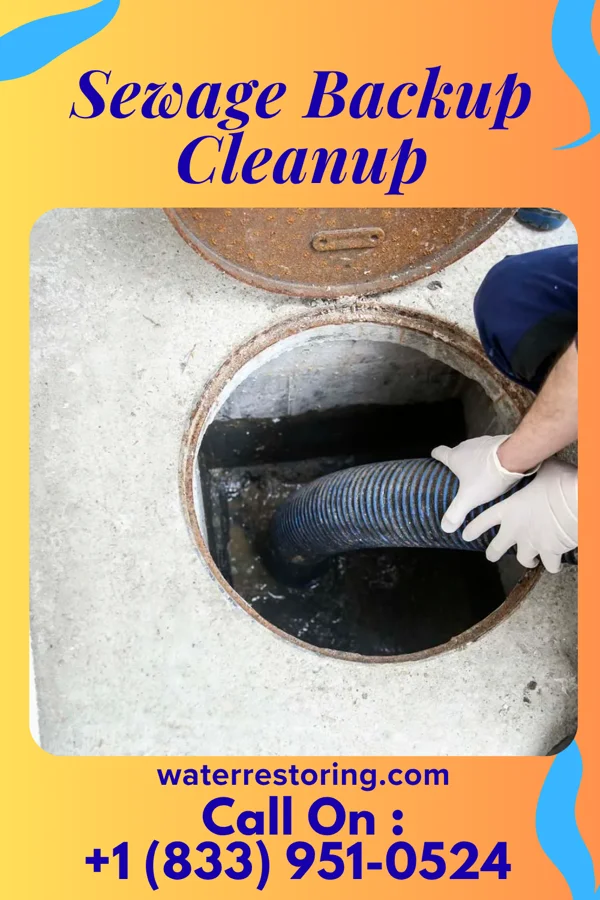 Sewage Backup Cleanup in Clifton Springs, NY